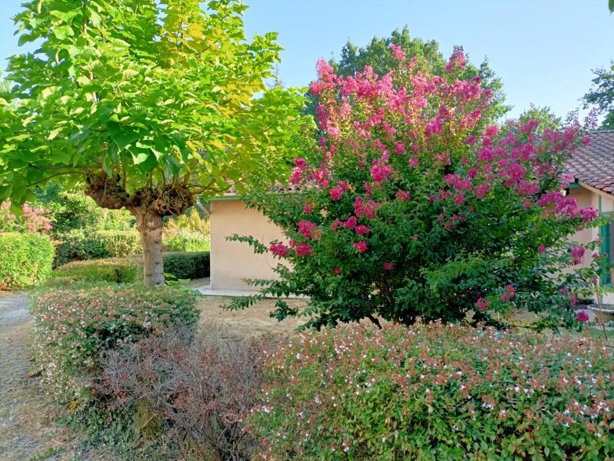 Villa 8 Personnes O Mes Anges Saint-Julien-en-Born Exterior foto
